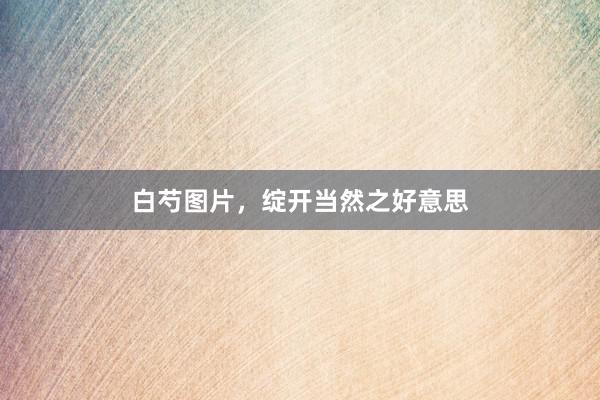 白芍图片，绽开当然之好意思