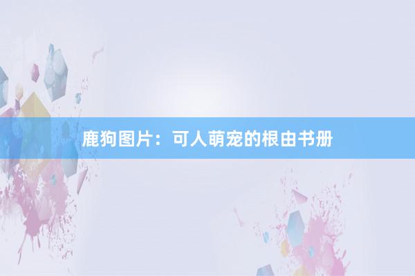 鹿狗图片：可人萌宠的根由书册