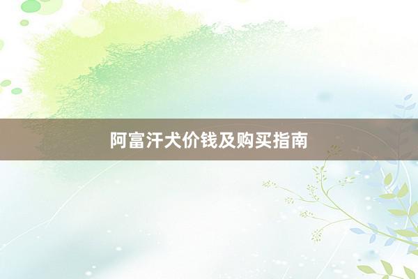 阿富汗犬价钱及购买指南